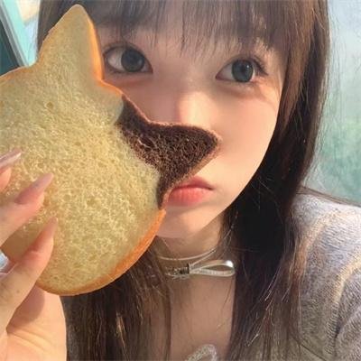 狐狸女士第二季